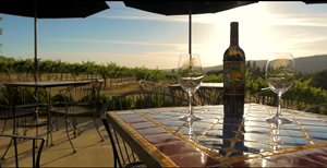 Alger Winery 1